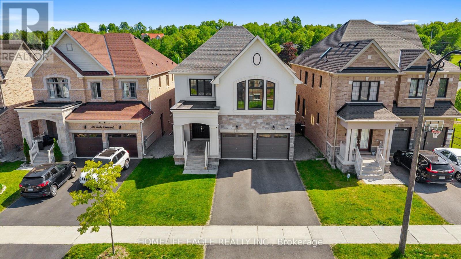 58 Tesla Crescent, East Gwillimbury, Ontario  L9N 0T3 - Photo 3 - N13242836