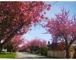 15759 101 AVENUE, Surrey, British Columbia
