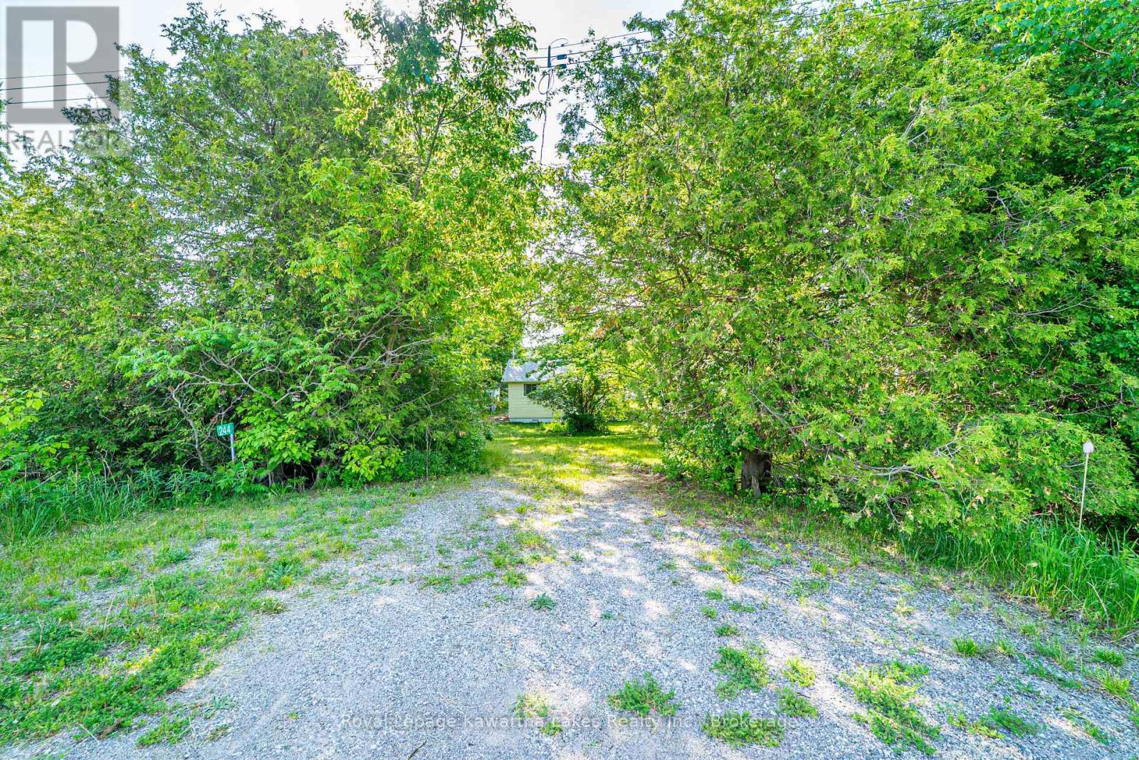 244 O'reilly Lane, Kawartha Lakes, Ontario  K0M 2C0 - Photo 34 - X13243214