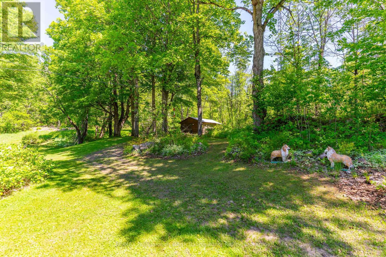 12504 Highway 35, Minden Hills, Ontario  K0M 2K0 - Photo 30 - X12953212
