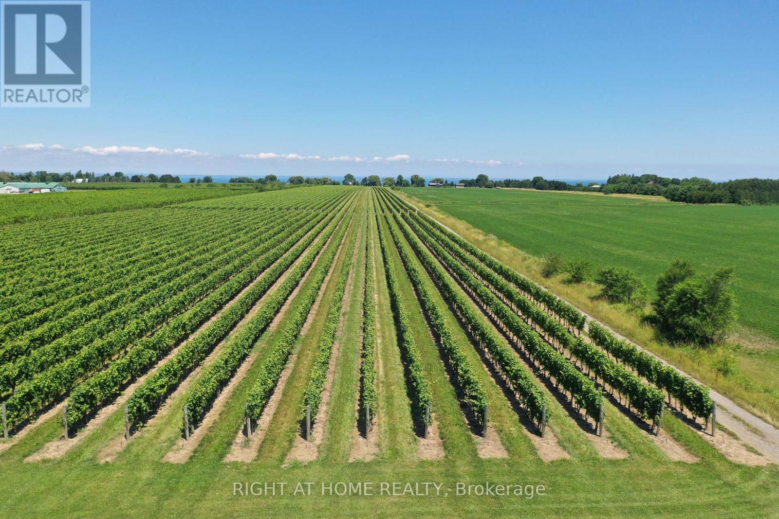 3705 North Service Road, Lincoln, Ontario  L3J 1J3 - Photo 21 - X13242946