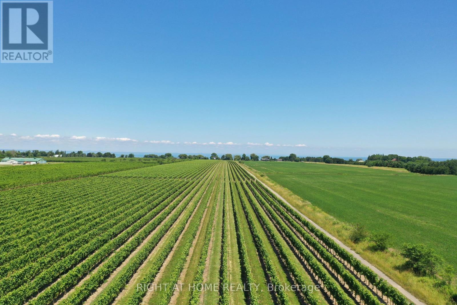 3705 North Service Road, Lincoln, Ontario  L3J 1J3 - Photo 5 - X13242946