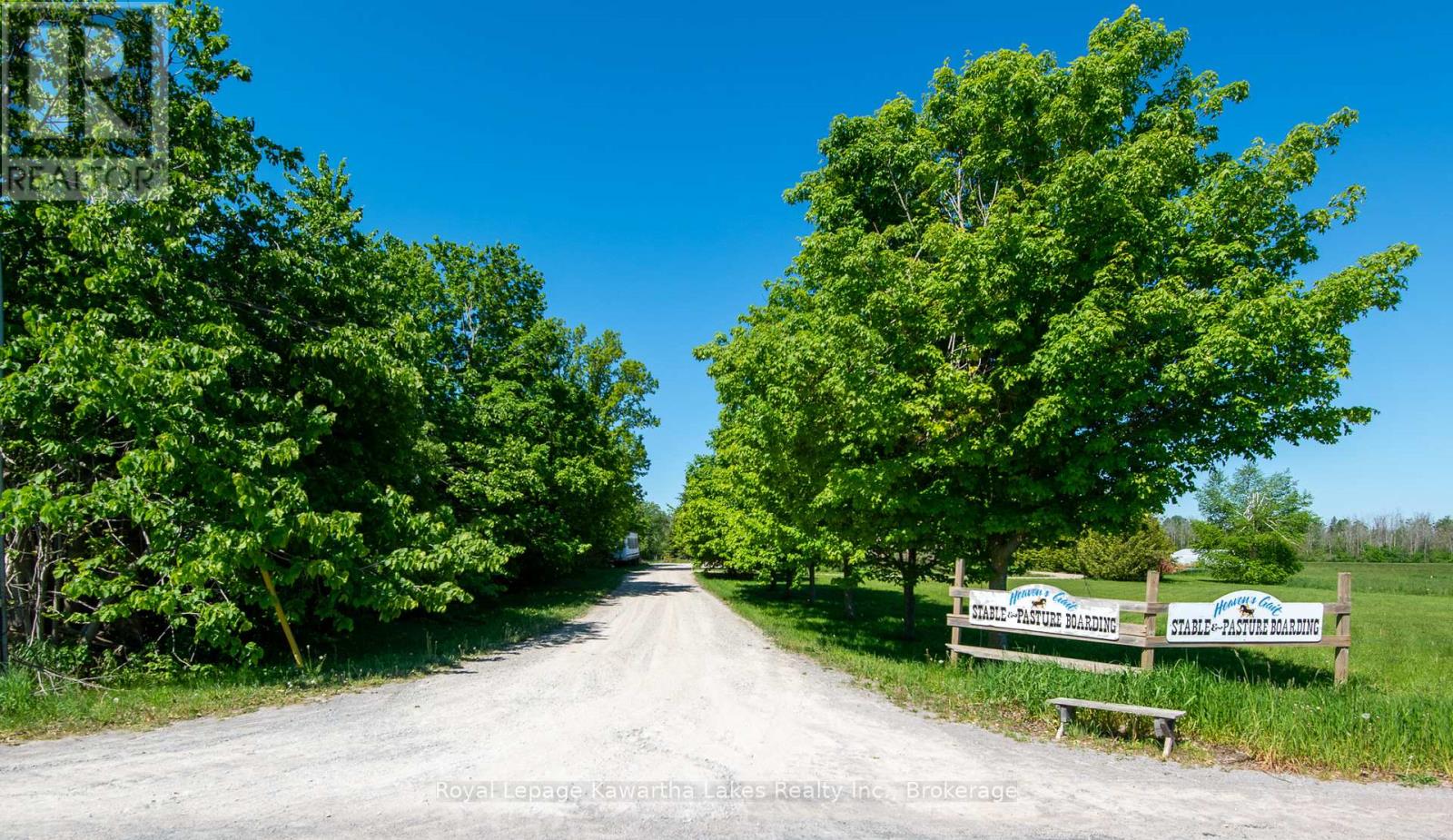 2435 Elm Tree Road, Kawartha Lakes, Ontario  K0M 1E0 - Photo 3 - X13243310