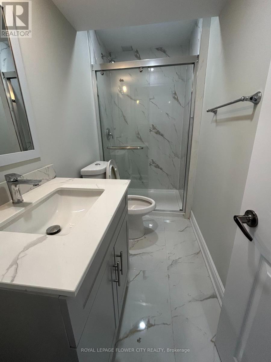 Basement - 200 Hunter Way, Brantford, Ontario  N3T 0B7 - Photo 7 - X13238954
