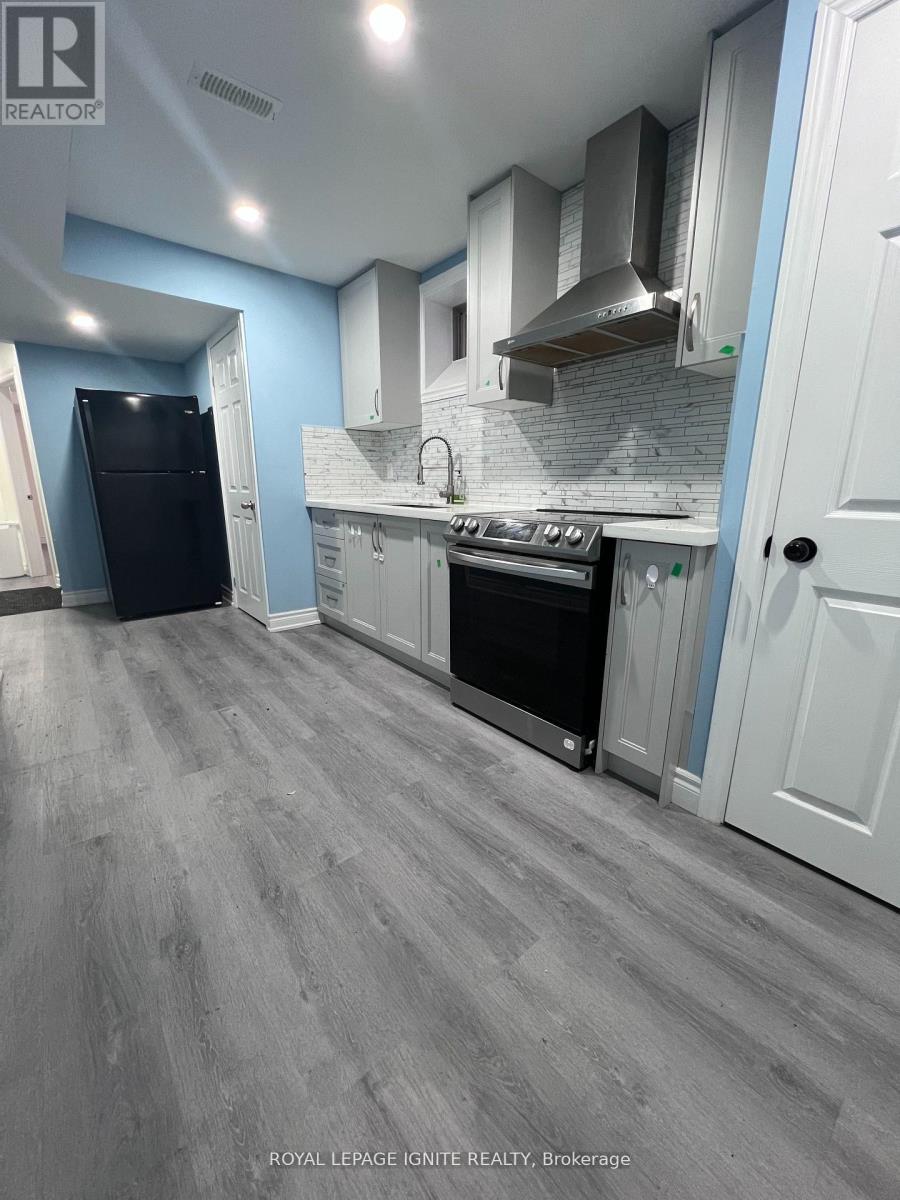 Bsmt - 1074 Orenda Street, Pickering, Ontario  L1X 0G5 - Photo 8 - E13243410
