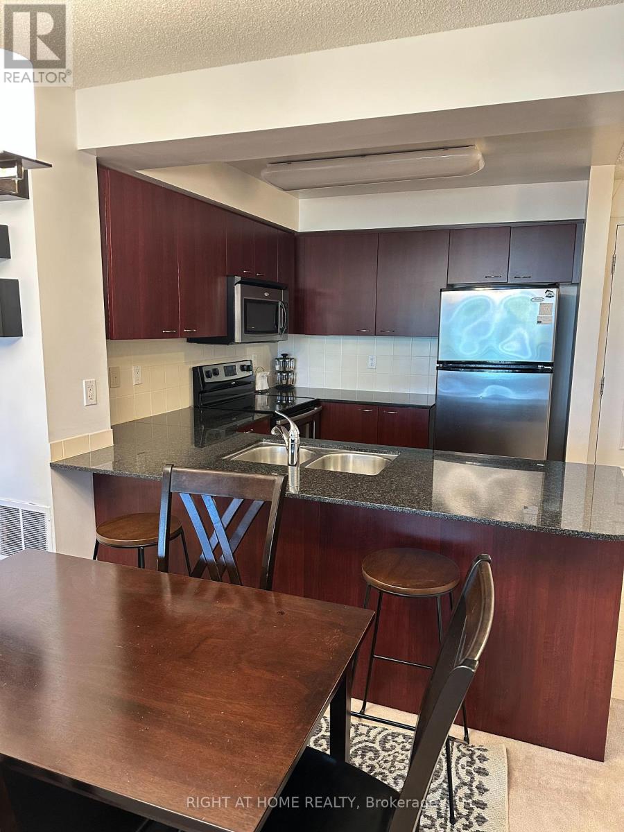 206 - 310 Red Maple Road, Richmond Hill, Ontario  L4C 0T7 - Photo 4 - N13243432