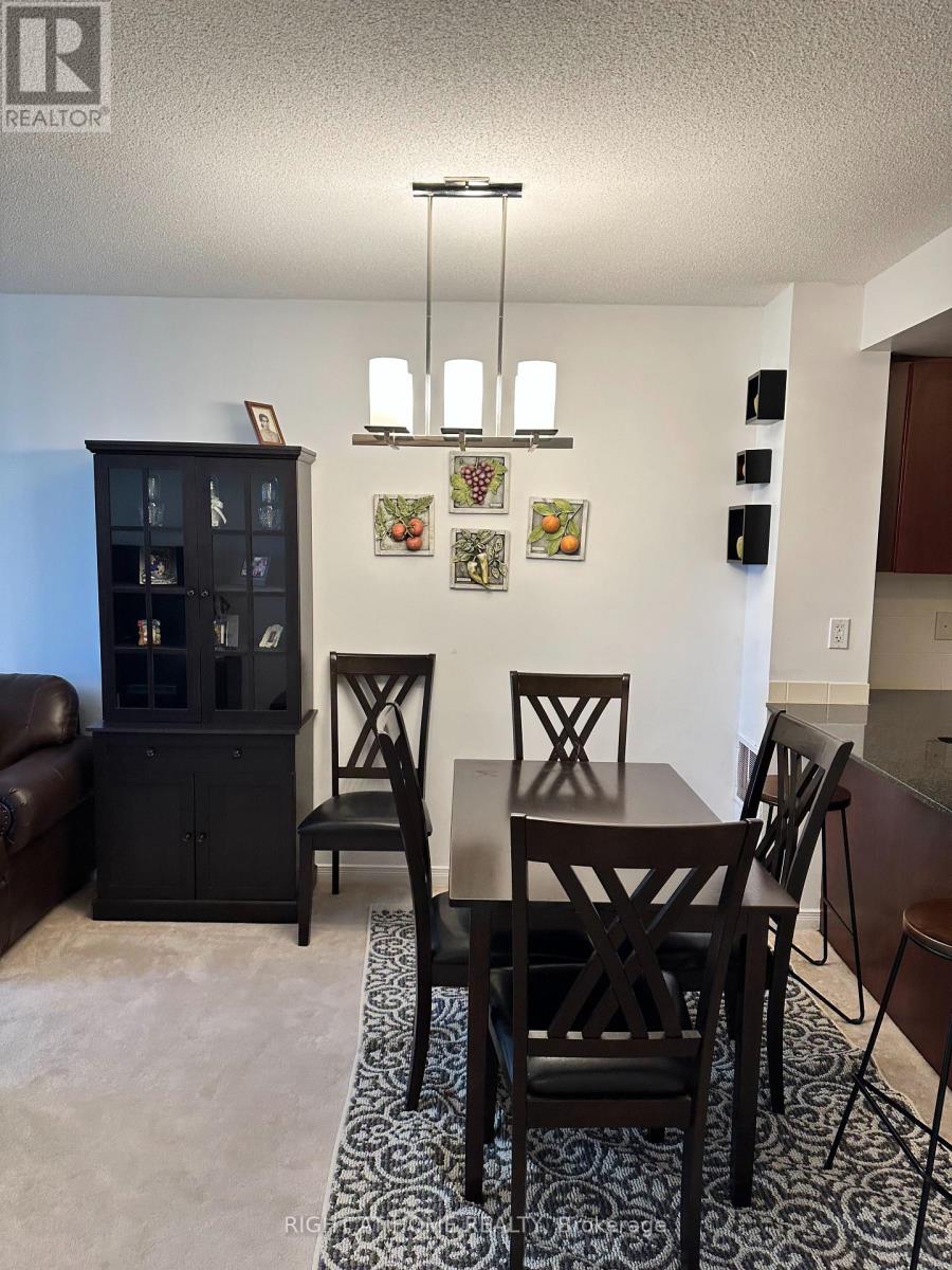 206 - 310 Red Maple Road, Richmond Hill, Ontario  L4C 0T7 - Photo 5 - N13243432