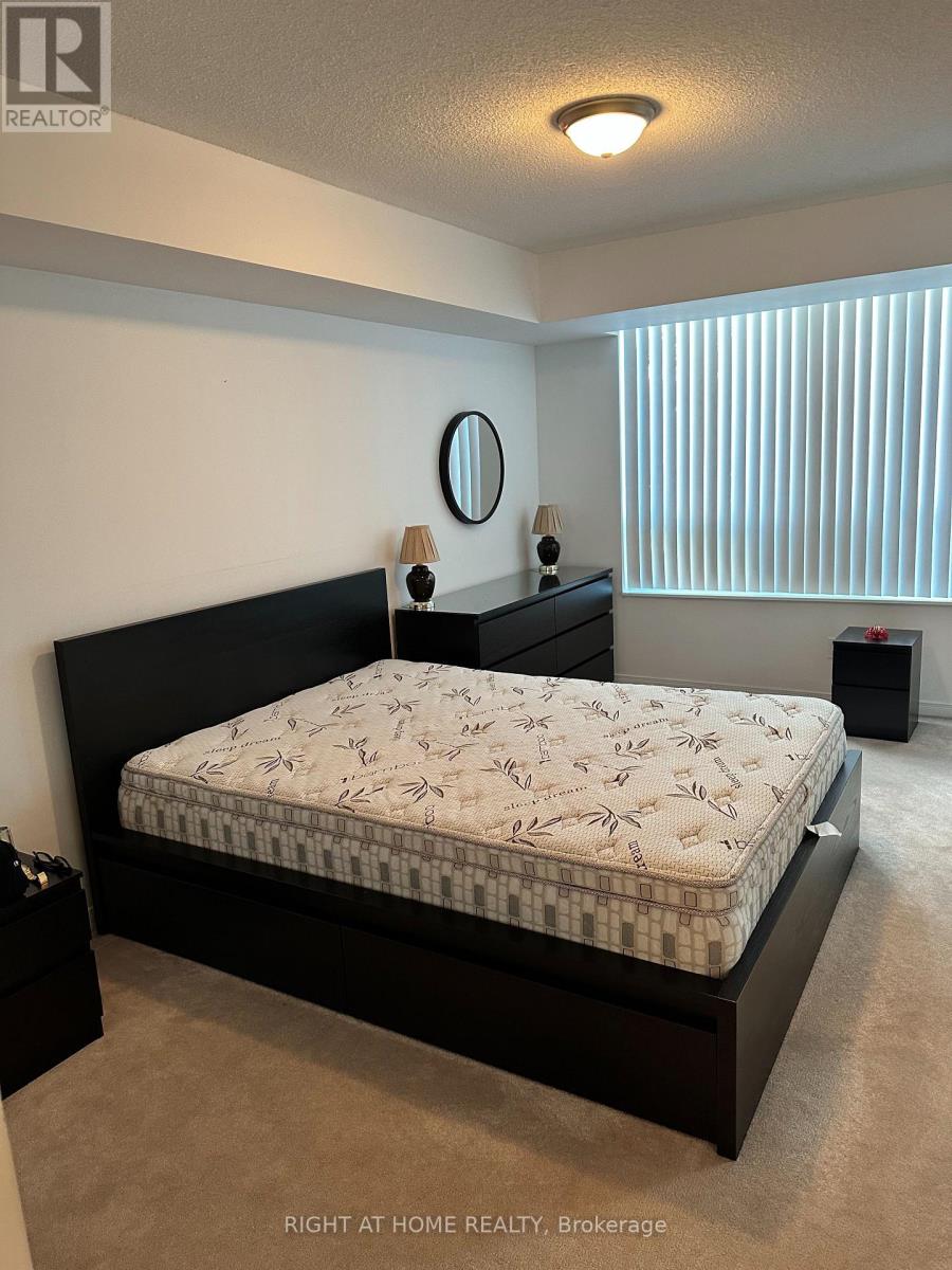 206 - 310 Red Maple Road, Richmond Hill, Ontario  L4C 0T7 - Photo 8 - N13243432