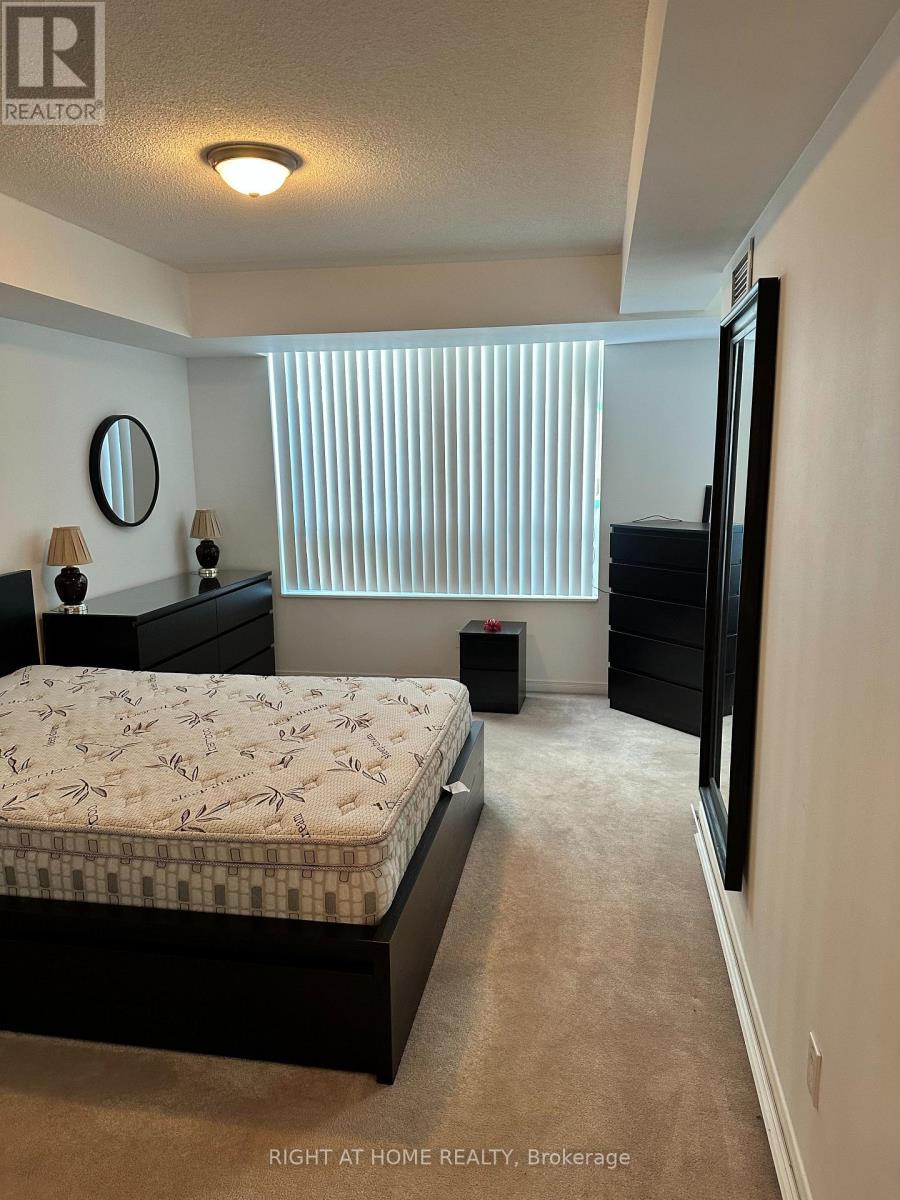 206 - 310 Red Maple Road, Richmond Hill, Ontario  L4C 0T7 - Photo 9 - N13243432