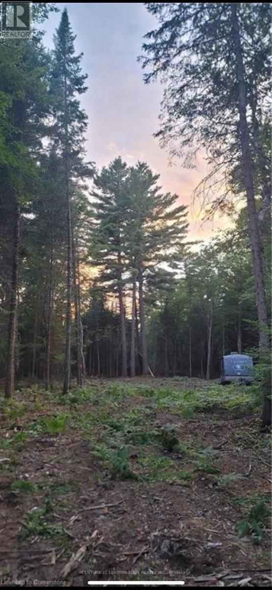 Na Dwight Beach Road, Lake Of Bays, Ontario  P0A 1H0 - Photo 3 - X13216460