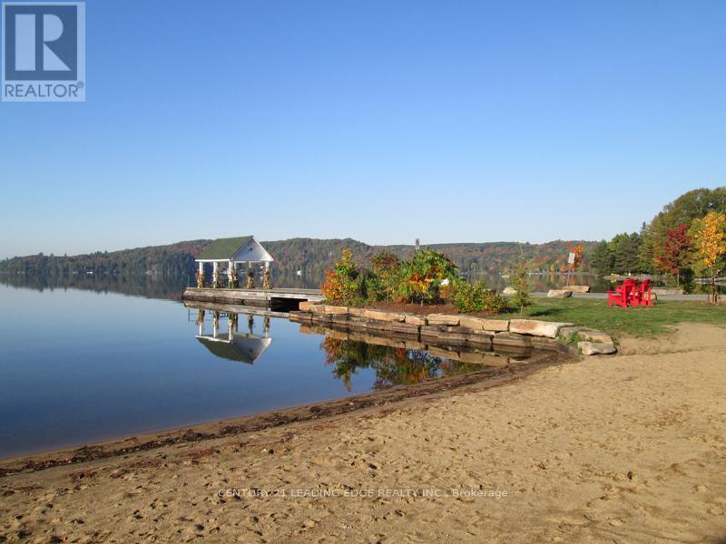 Na Dwight Beach Road, Lake Of Bays, Ontario  P0A 1H0 - Photo 5 - X13216460