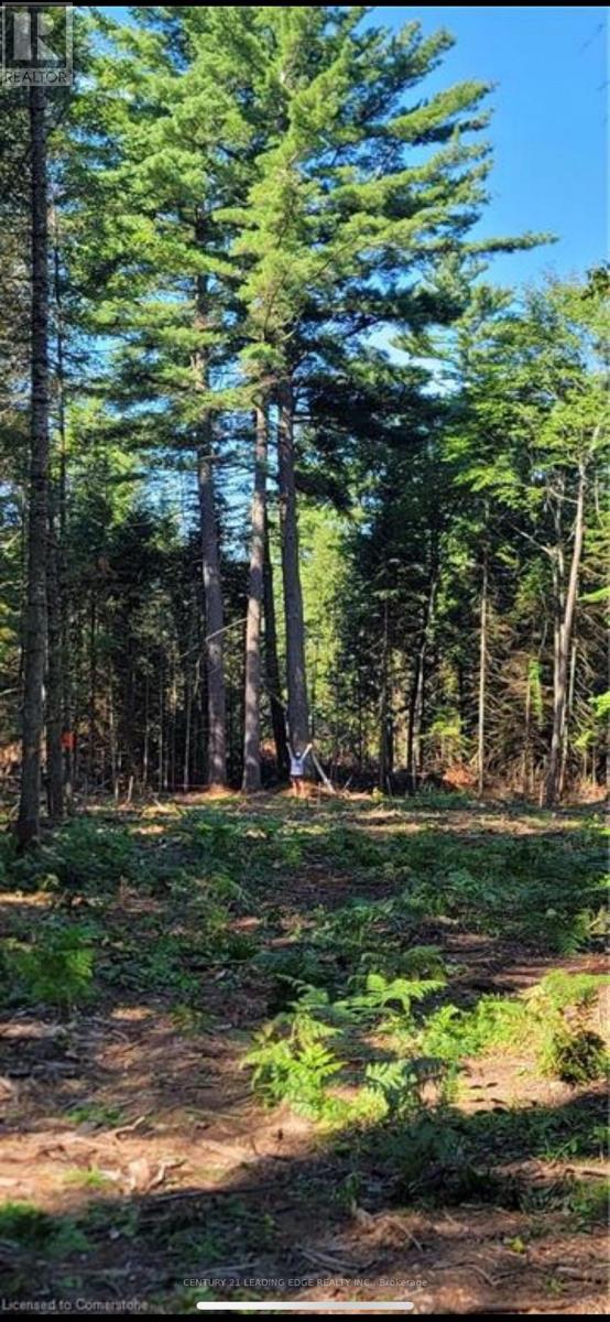 Na Dwight Beach Road, Lake Of Bays, Ontario  P0A 1H0 - Photo 2 - X13216460