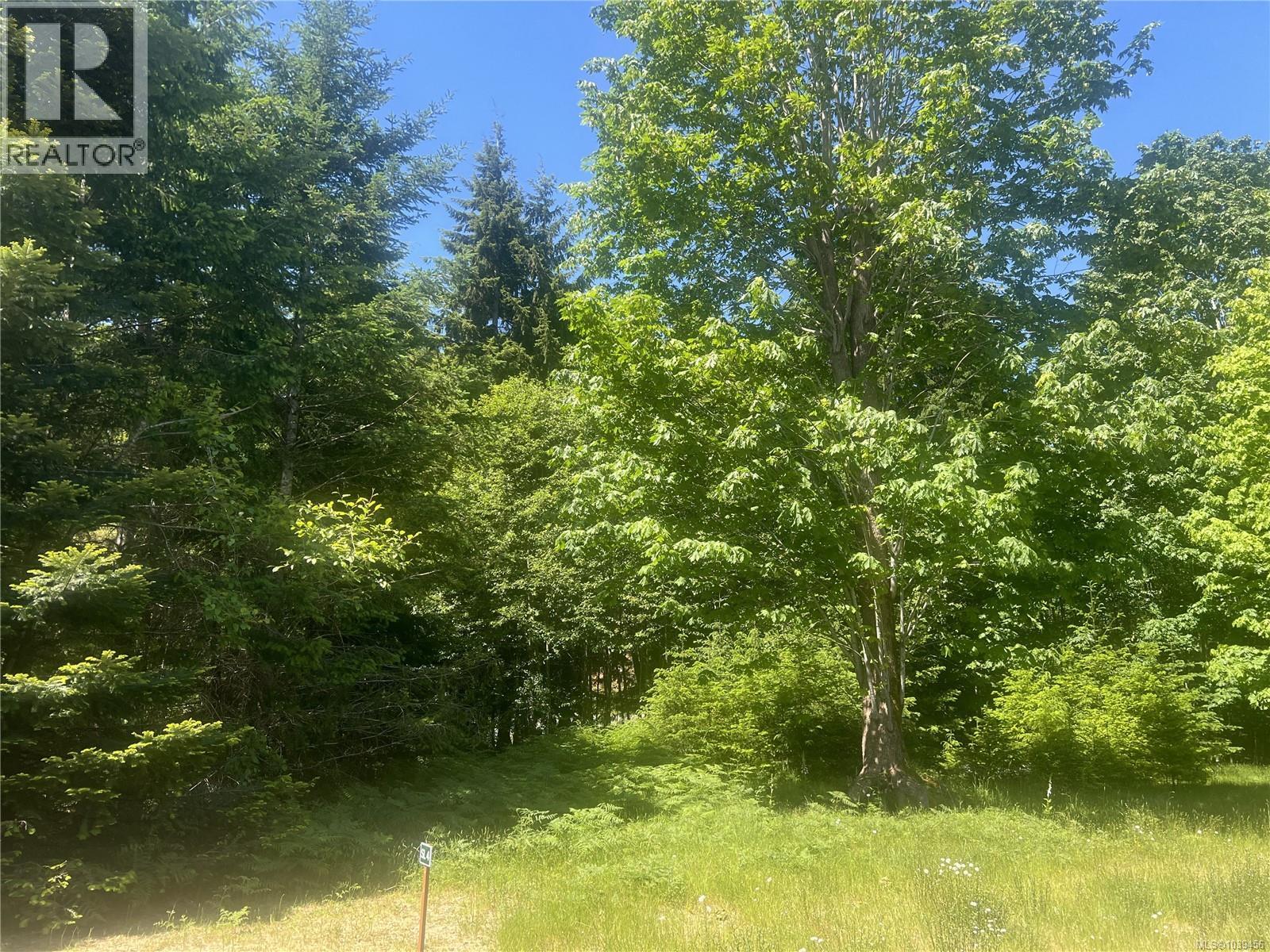 Lot 4 Creekside Dr, Quadra Island, British Columbia  V0P 1N0 - Photo 15 - 1039456