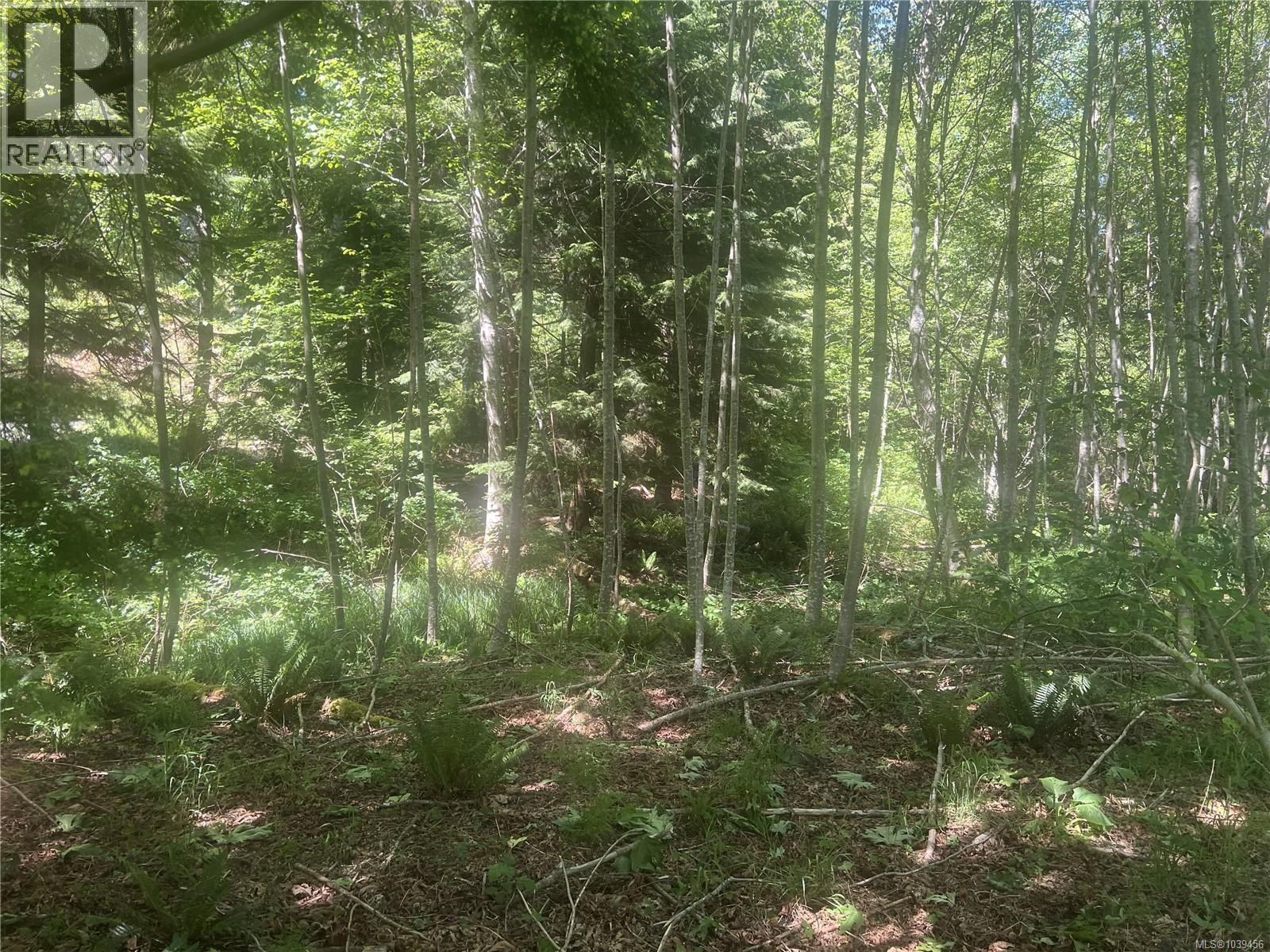 Lot 4 Creekside Dr, Quadra Island, British Columbia  V0P 1N0 - Photo 20 - 1039456