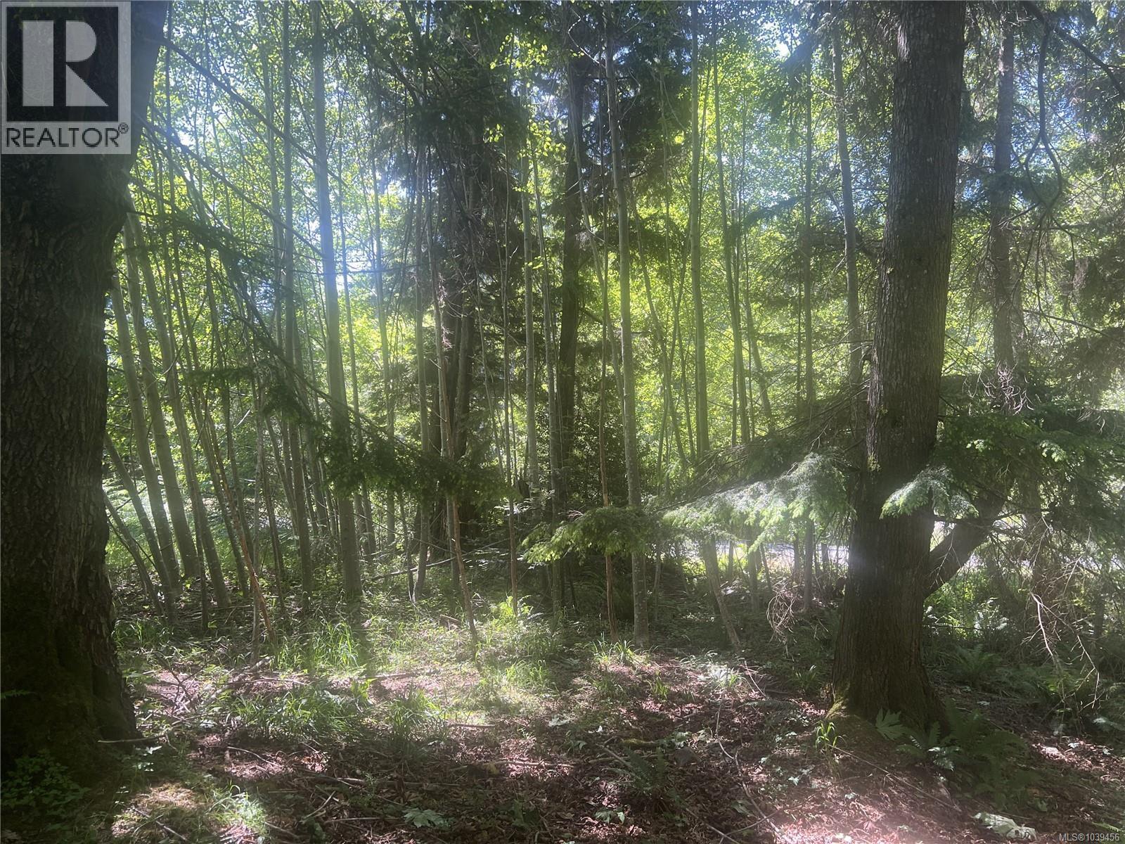 Lot 4 Creekside Dr, Quadra Island, British Columbia  V0P 1N0 - Photo 21 - 1039456