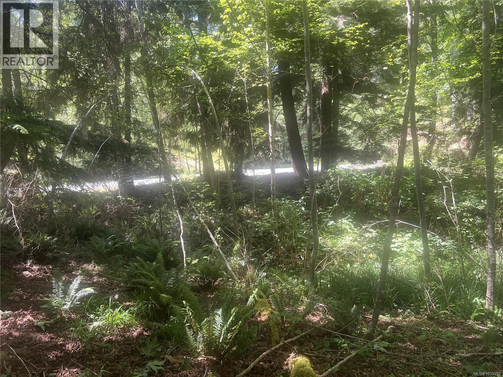 Lot 4 Creekside Dr, Quadra Island, British Columbia  V0P 1N0 - Photo 22 - 1039456