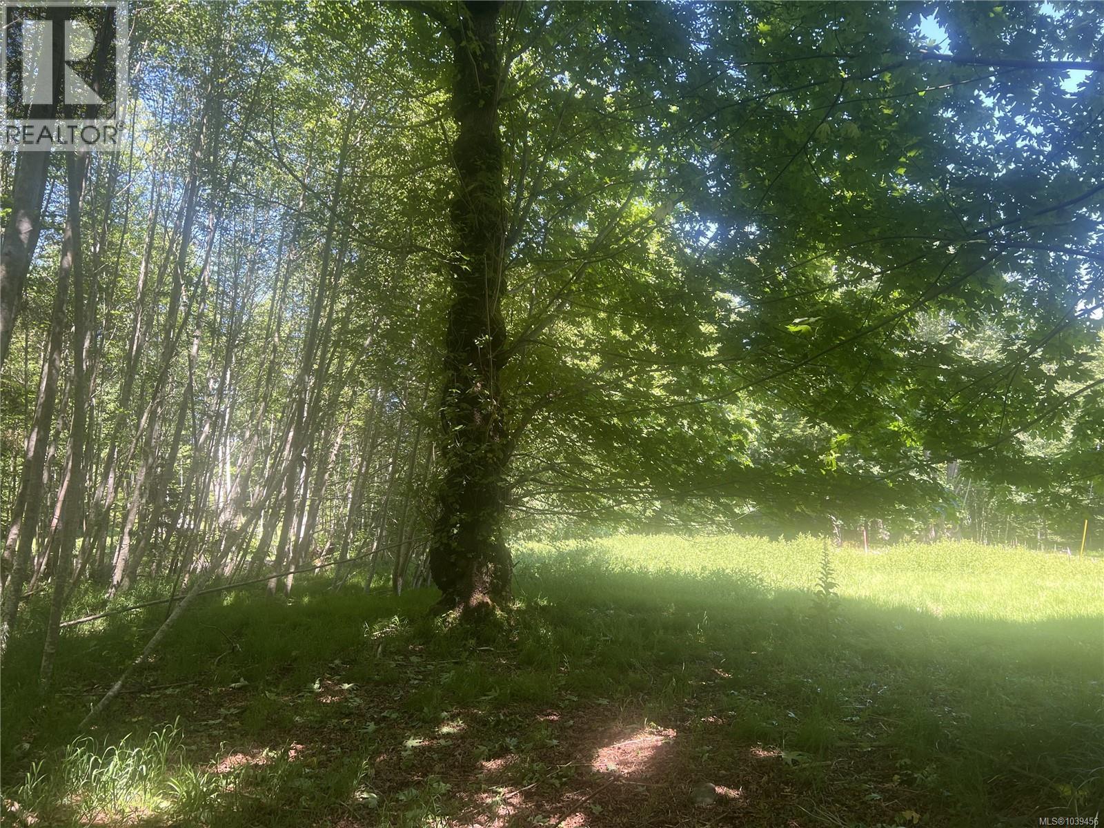 Lot 4 Creekside Dr, Quadra Island, British Columbia  V0P 1N0 - Photo 25 - 1039456