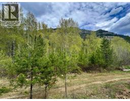 Highway 6 Lot# 2, Passmore, British Columbia
