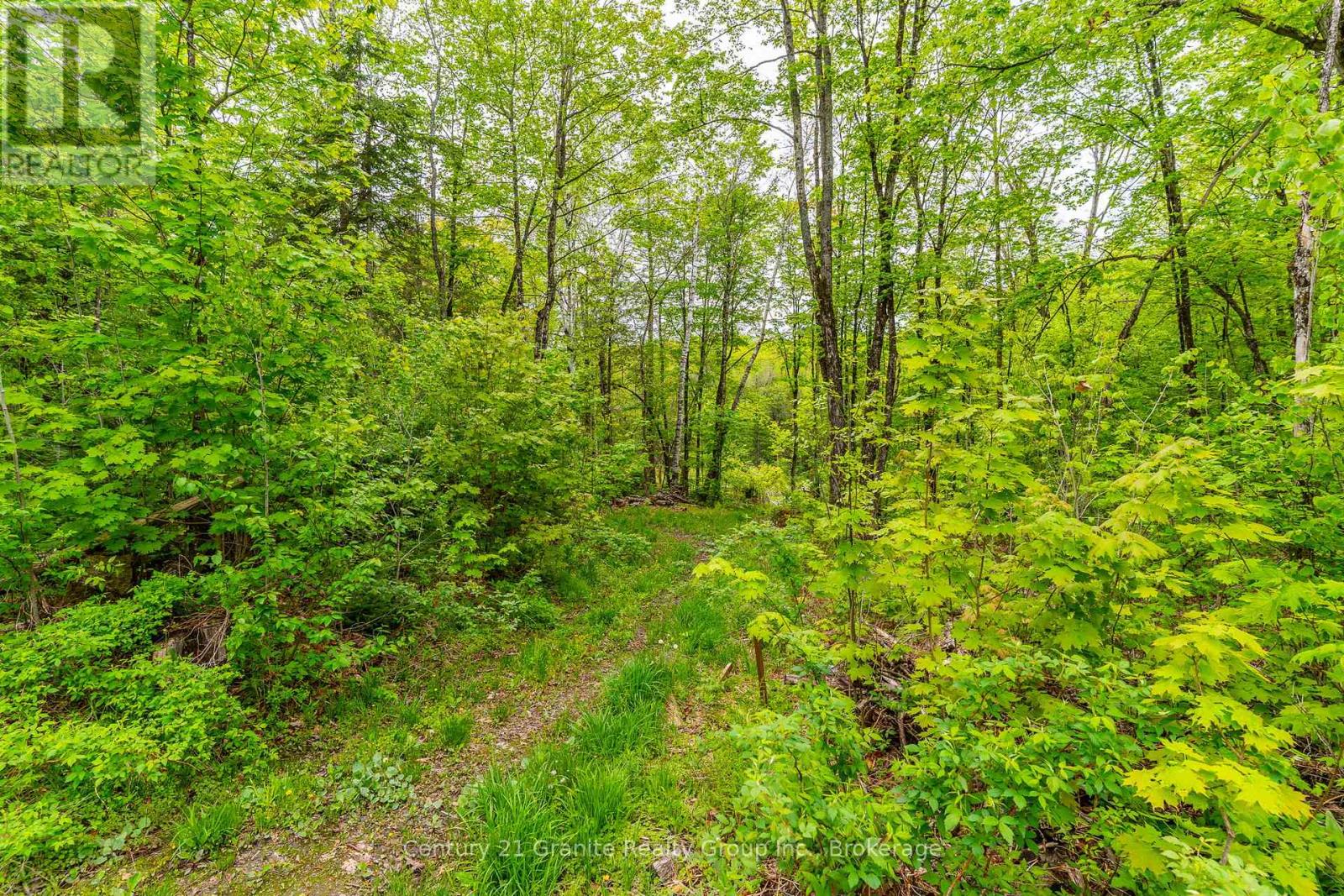 18240 Highway 118, Highlands East (Monmouth), Ontario  K0L 2Y0 - Photo 42 - X13243166