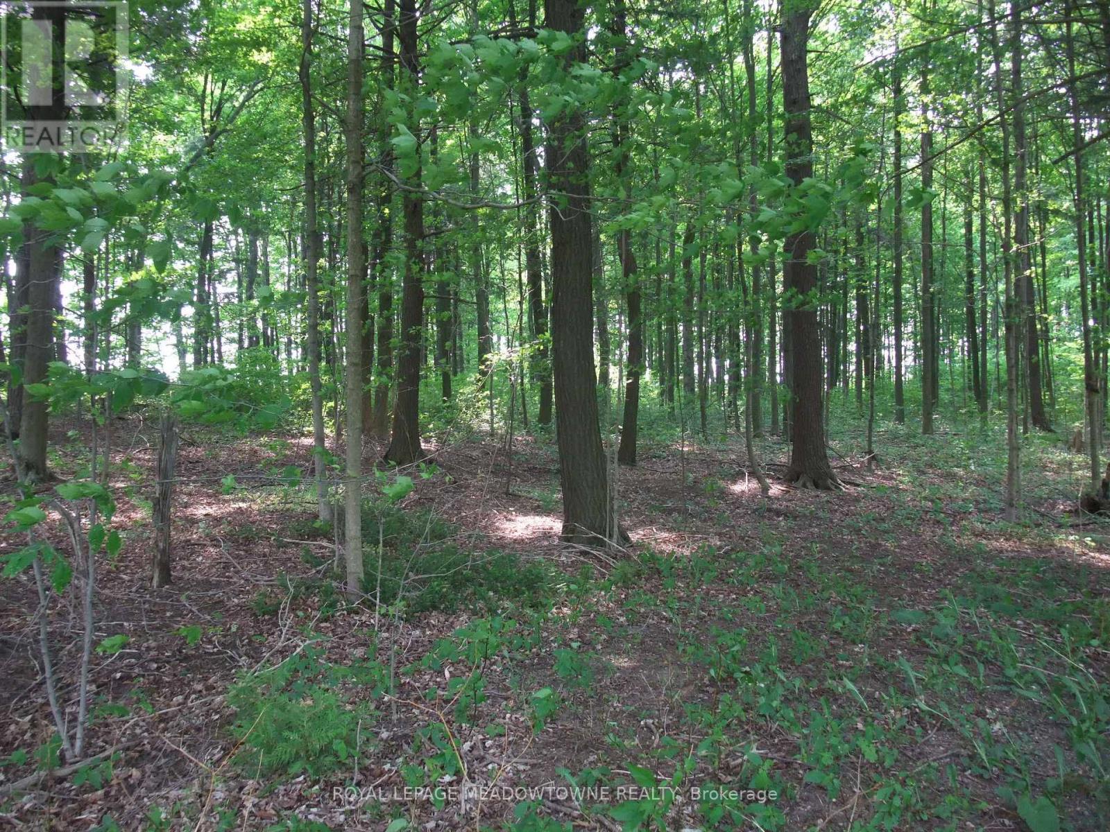 8949 Wellington Rd 22 Road, Erin, Ontario  N0B 1Z0 - Photo 10 - X12902234