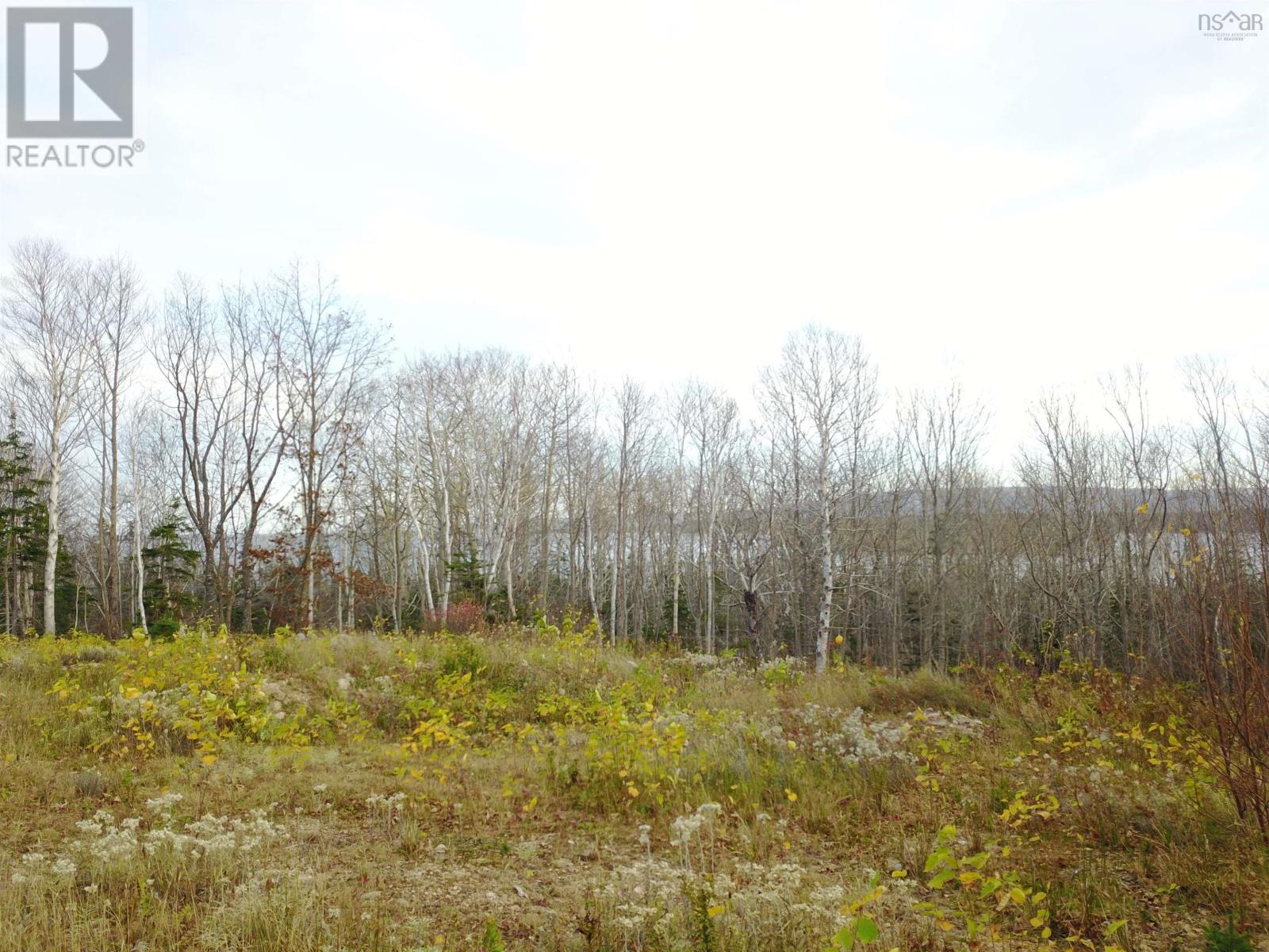 Bay St Lawrence Road, Aspy Bay, Nova Scotia  B0C 1G0 - Photo 34 - 202613317