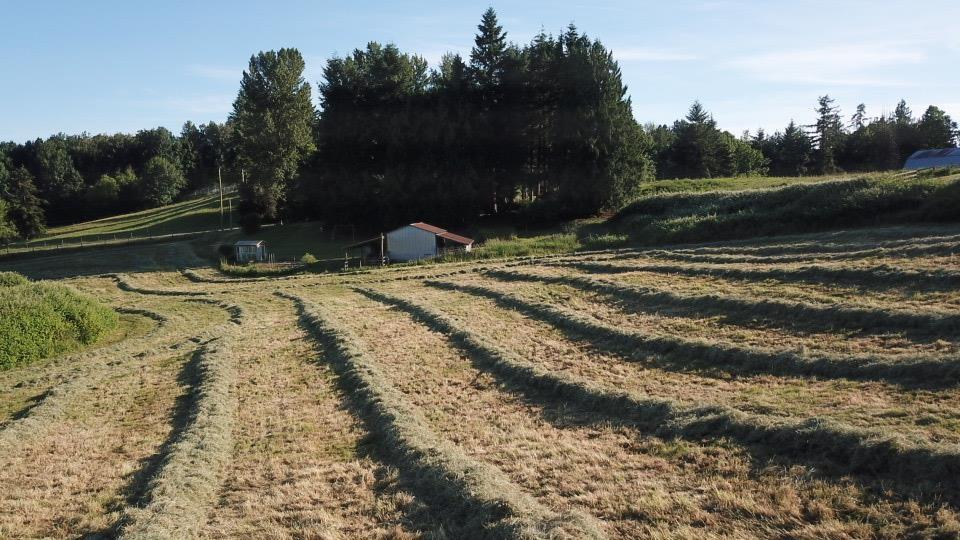 Listing image 36