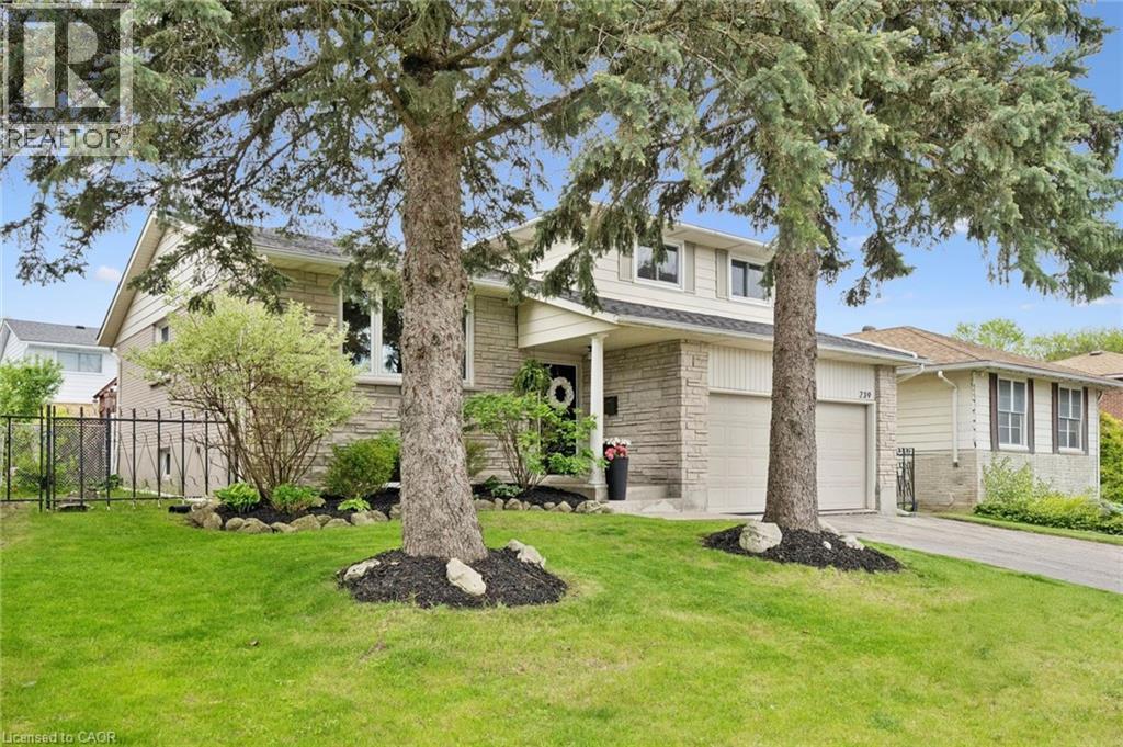 239 Lorraine Avenue, Kitchener, Ontario  N2B 1W9 - Photo 46 - 40837021