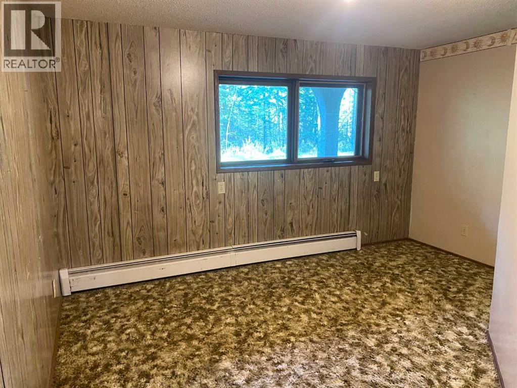 101 Westwood Drive, Rural Clearwater County, Alberta  T4T 2A2 - Photo 38 - A2318162