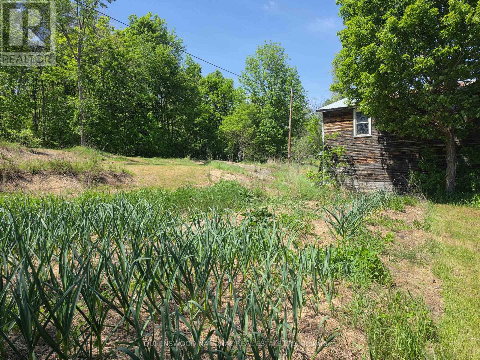 8433 Brudenell Road N, Killaloe, Ontario  K0J 2A0 - Photo 17 - X13070470