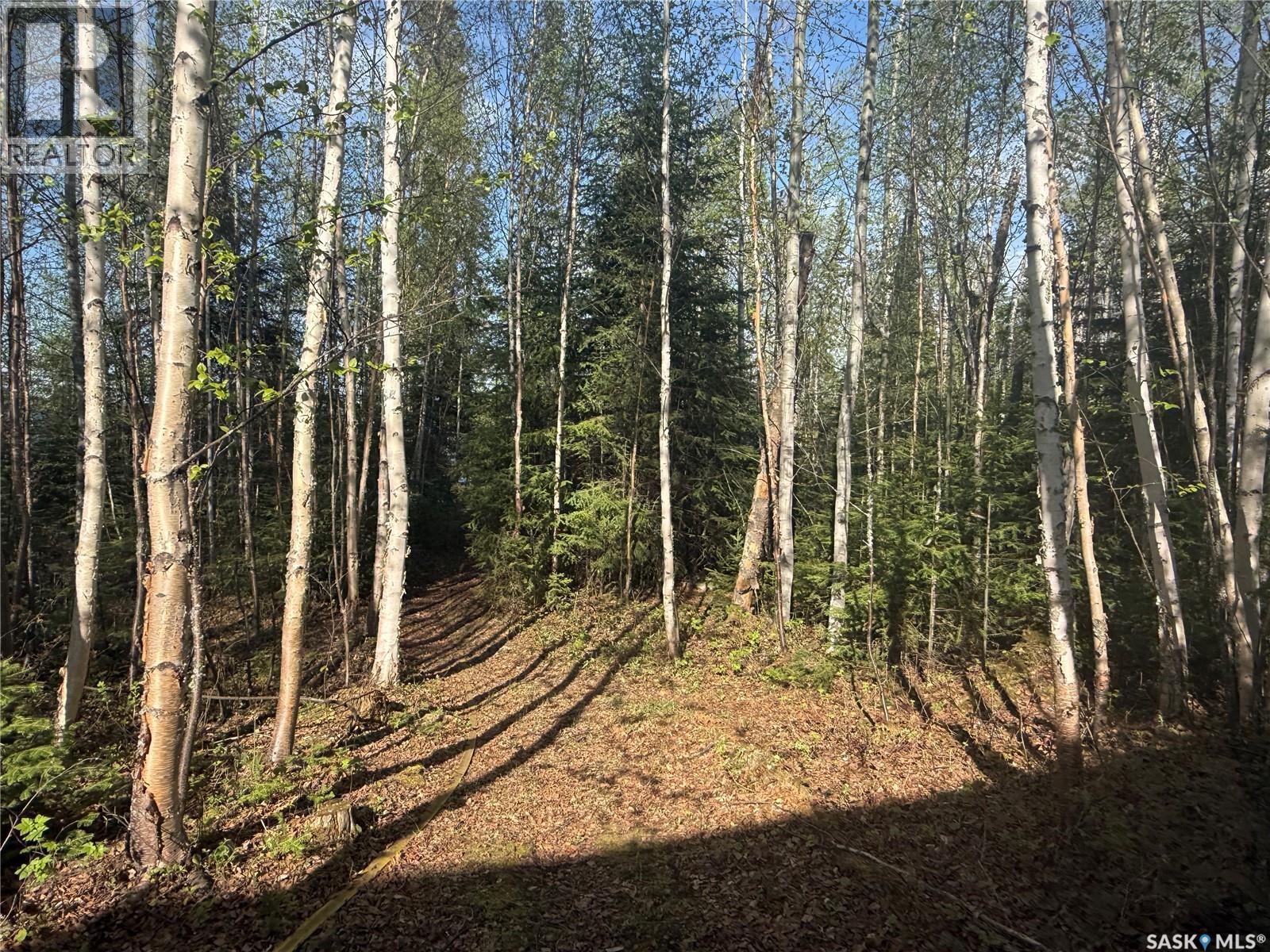 1604 Mahigan Crescent, Northern Admin District, Saskatchewan  S0J 1L0 - Photo 23 - SK032944