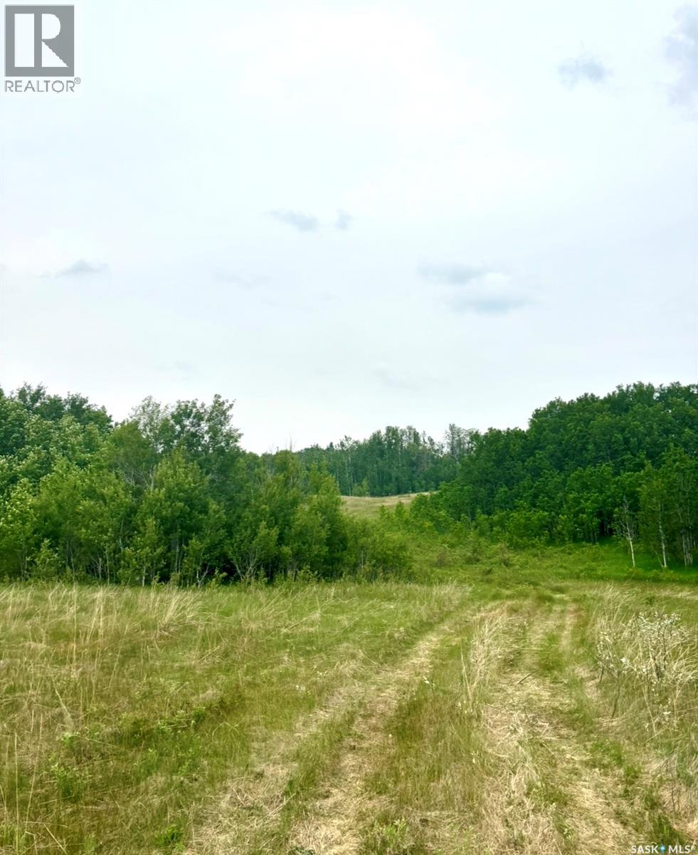 Medstead/ Roundhill Property, Medstead Rm No.497, Saskatchewan  S0M 1W0 - Photo 11 - SK038382