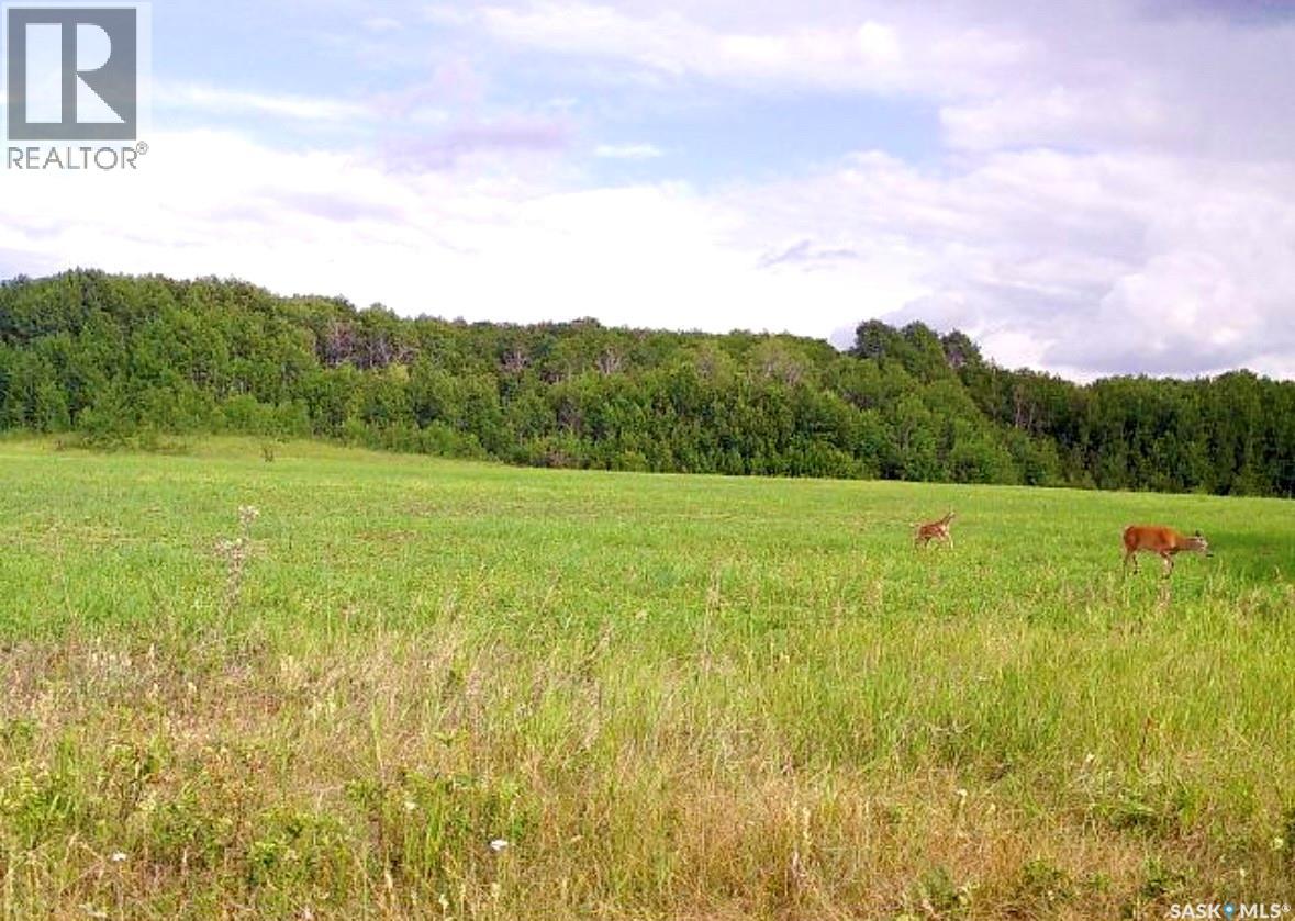 Medstead/ Roundhill Property, Medstead Rm No.497, Saskatchewan  S0M 1W0 - Photo 5 - SK038382