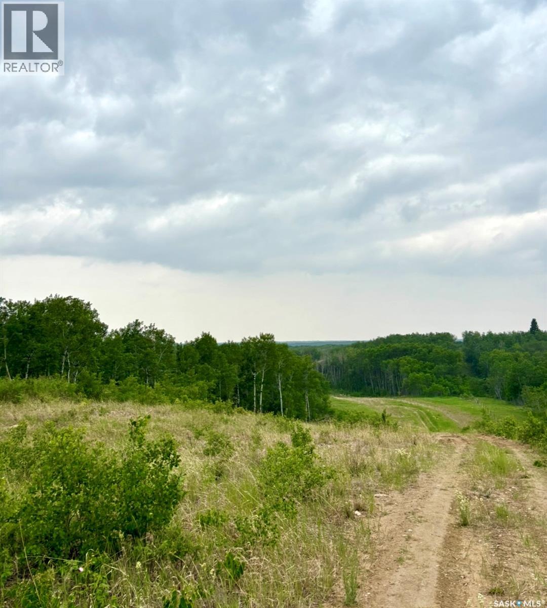 Medstead/ Roundhill Property, Medstead Rm No.497, Saskatchewan  S0M 1W0 - Photo 6 - SK038382