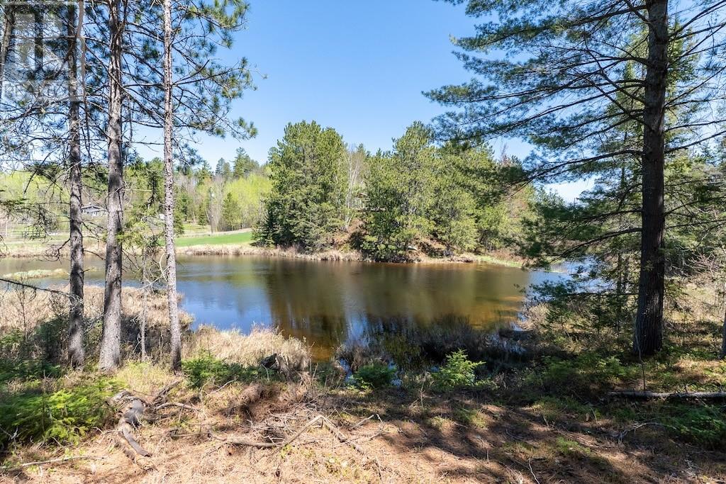1750 Horseshoe Lake Road, Greater Sudbury, Ontario  P3E 4N1 - Photo 84 - 2127992