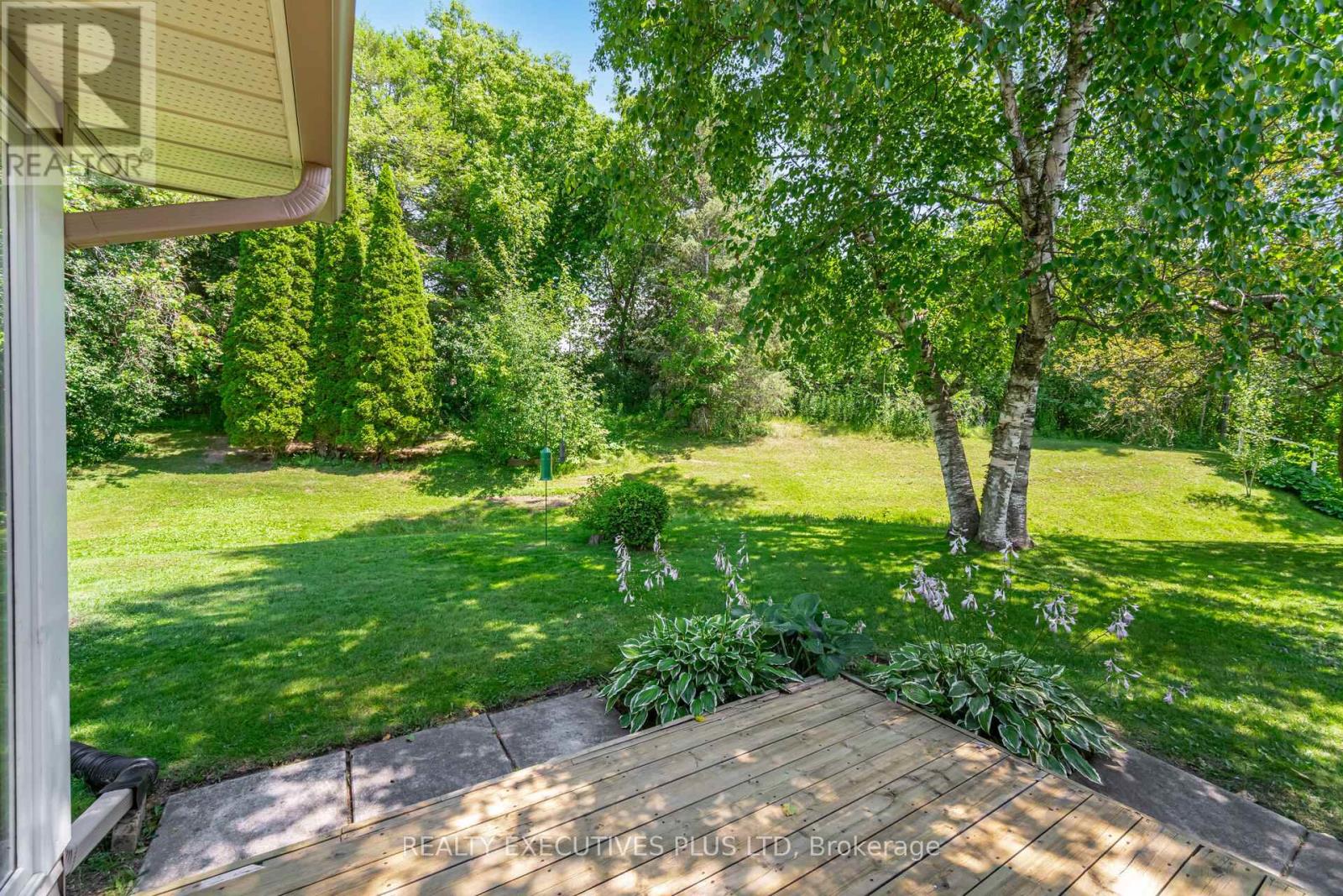 3 Pineview Court, New Tecumseth, Ontario  L0G 1W0 - Photo 29 - N13246030