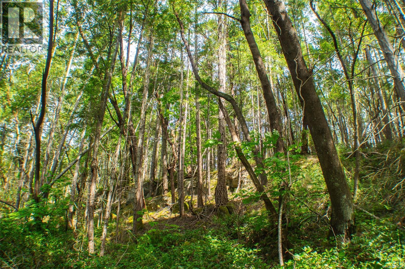 Lt 17 Ruxton Pl, Ruxton Island, British Columbia  V0R 1X7 - Photo 10 - 1039528