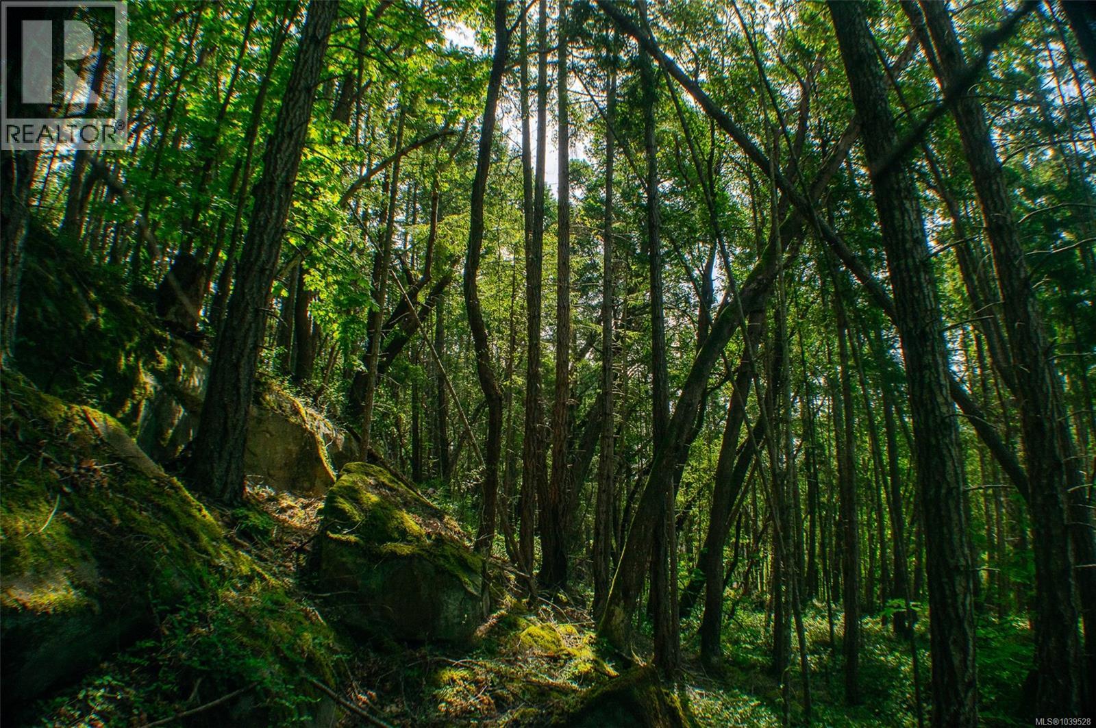 Lt 17 Ruxton Pl, Ruxton Island, British Columbia  V0R 1X7 - Photo 11 - 1039528