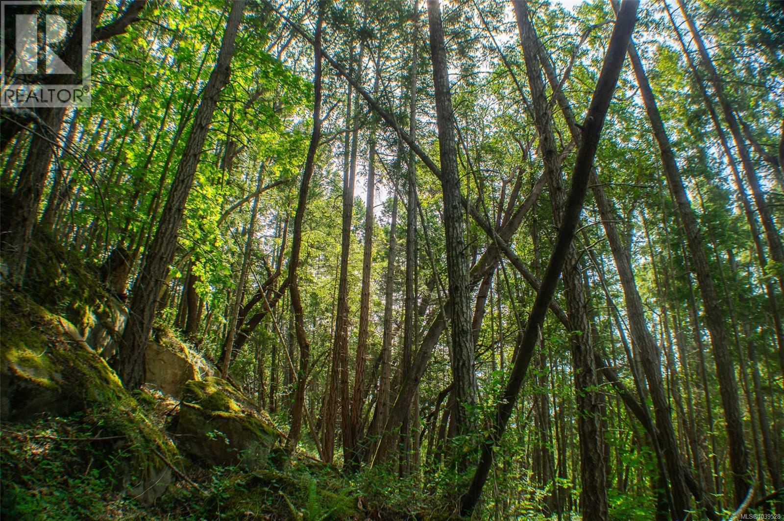 Lt 17 Ruxton Pl, Ruxton Island, British Columbia  V0R 1X7 - Photo 12 - 1039528