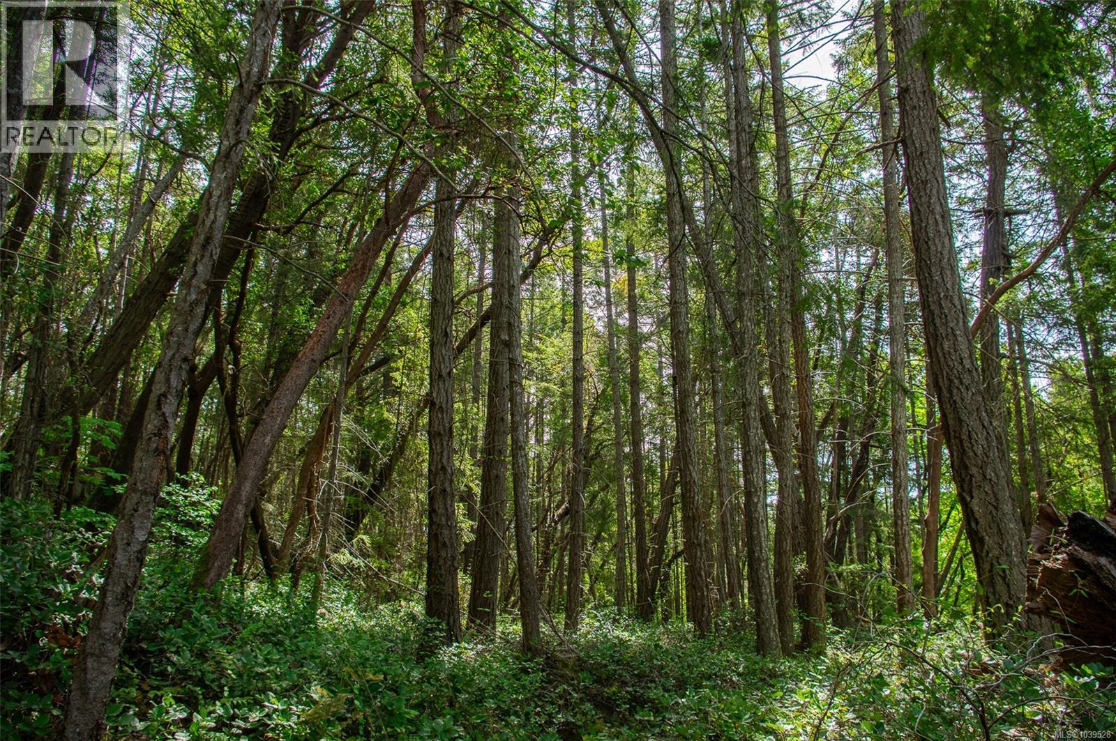 Lt 17 Ruxton Pl, Ruxton Island, British Columbia  V0R 1X7 - Photo 13 - 1039528