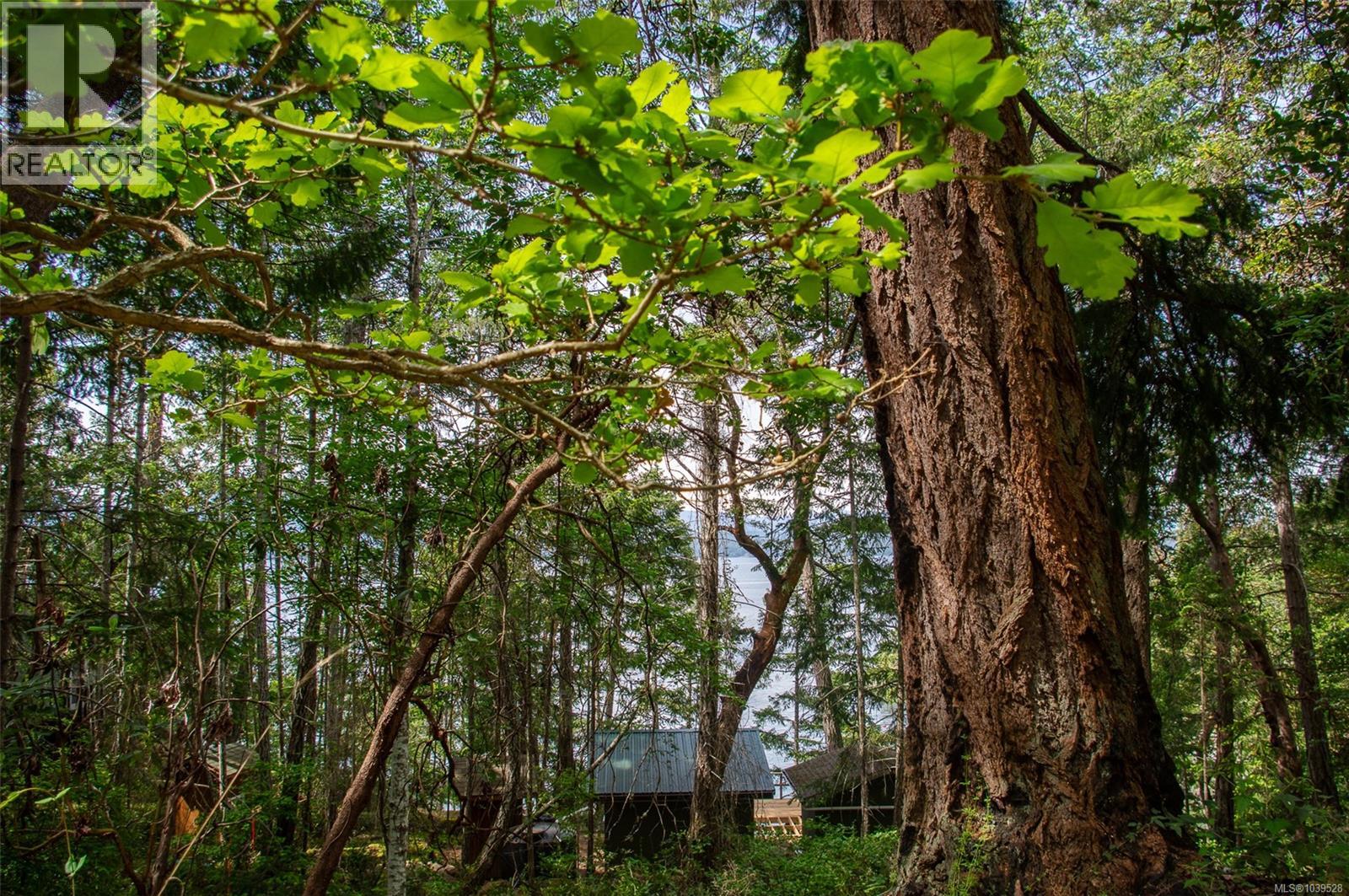 Lt 17 Ruxton Pl, Ruxton Island, British Columbia  V0R 1X7 - Photo 15 - 1039528