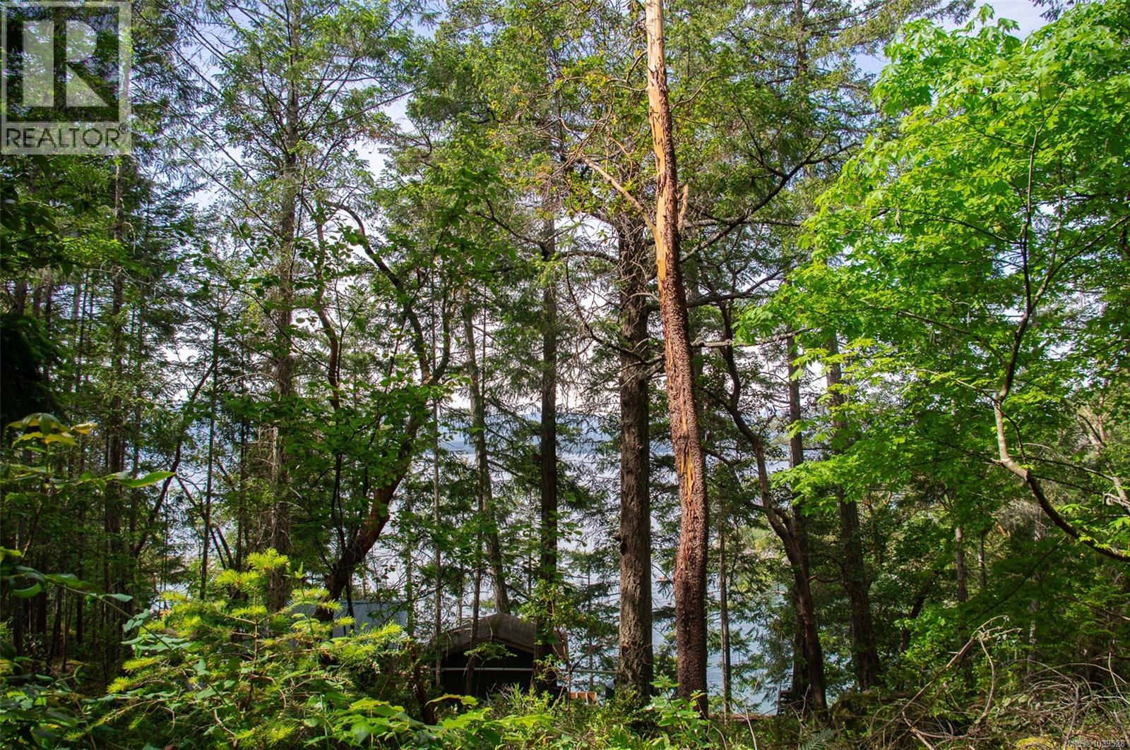 Lt 17 Ruxton Pl, Ruxton Island, British Columbia  V0R 1X7 - Photo 16 - 1039528