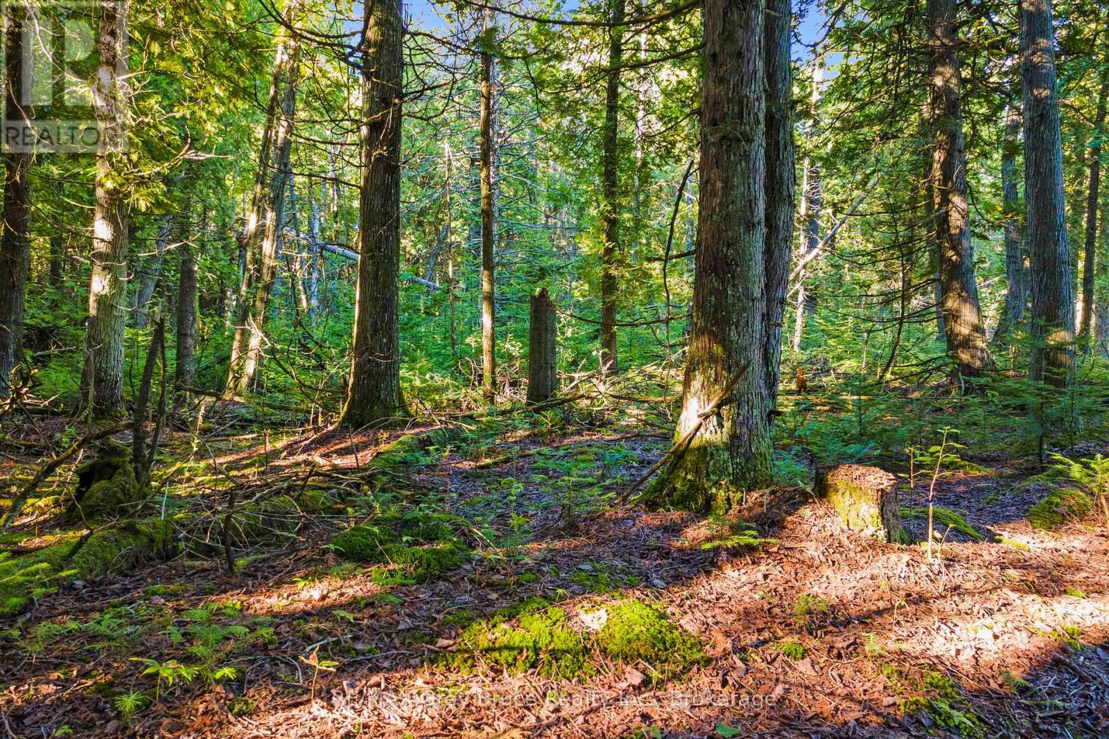 30 Huron Park Road, Northern Bruce Peninsula, Ontario N0H 1W0 - Photo 3 - X13246240