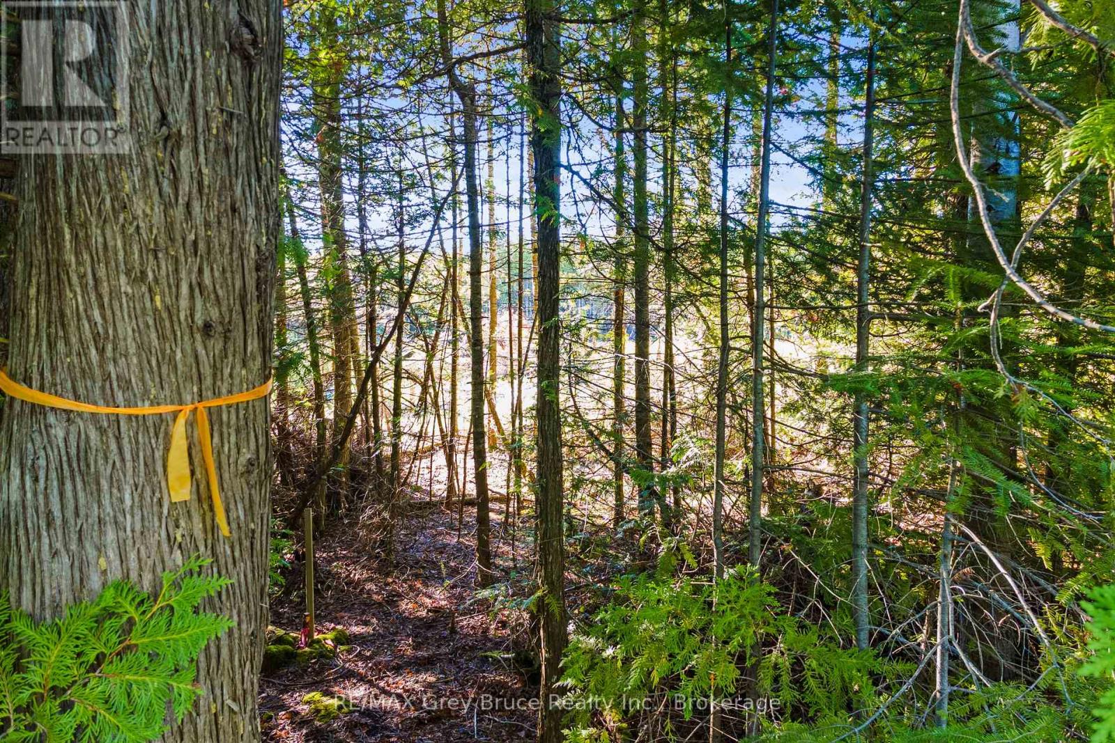 30 Huron Park Road, Northern Bruce Peninsula, Ontario N0H 1W0 - Photo 30 - X13246240