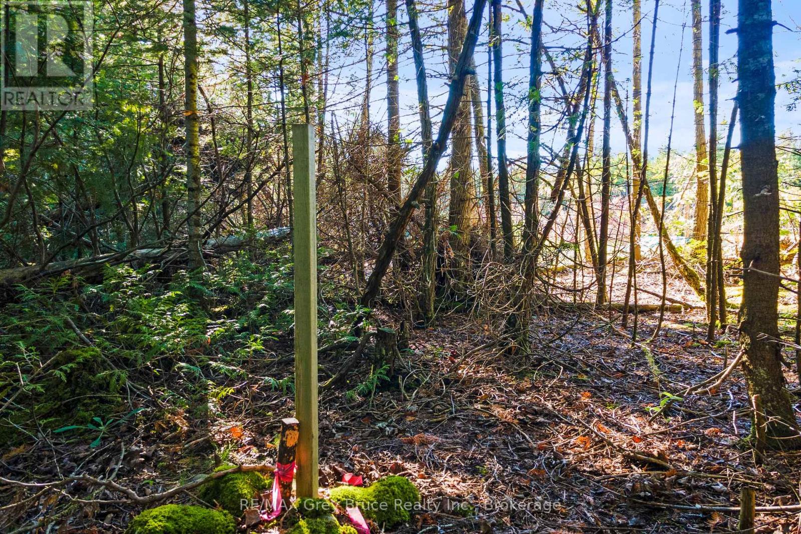 30 Huron Park Road, Northern Bruce Peninsula, Ontario N0H 1W0 - Photo 31 - X13246240