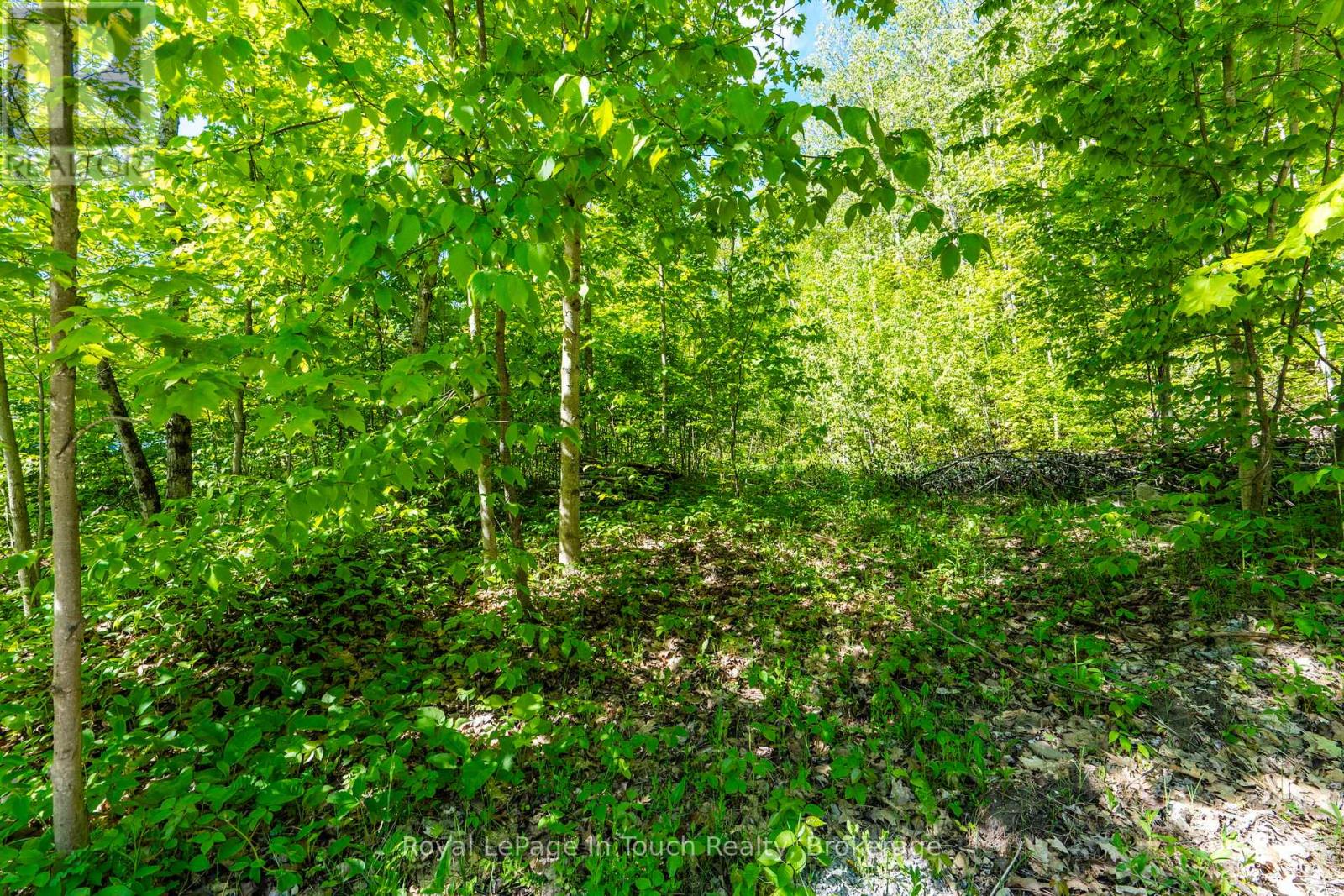 1536 Champlain Road, Tiny, Ontario  L9M 0C1 - Photo 2 - S13163222