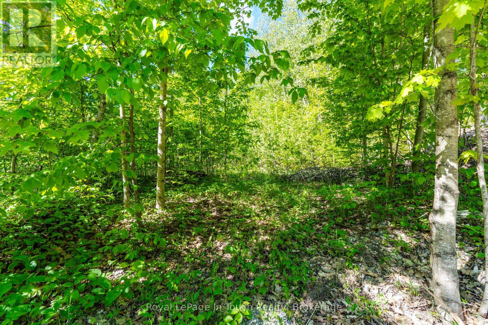 1536 Champlain Road, Tiny, Ontario  L9M 0C1 - Photo 10 - S13163222