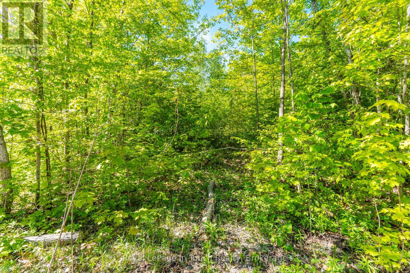 1536 Champlain Road, Tiny, Ontario  L9M 0C1 - Photo 11 - S13163222