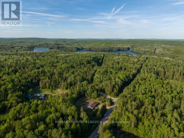 319 East Lake Road, Hastings Highlands, Ontario  K0L 2S0 - Photo 14 - X13246238