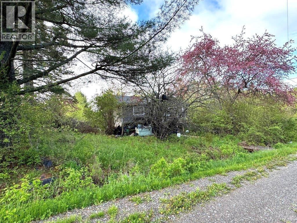 196 Ledge Road, Dufferin, New Brunswick  E3L 3P2 - Photo 12 - NB140566