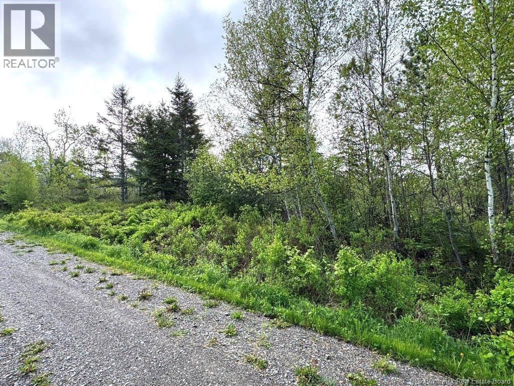 196 Ledge Road, Dufferin, New Brunswick  E3L 3P2 - Photo 13 - NB140566
